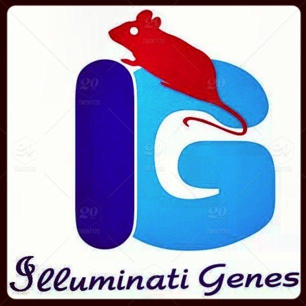 Us Clothing Company Logo - ILLUMINATI GENES COMPANY is a garment company with a registered