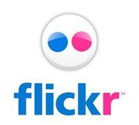 Flickr Logo - Useful Links