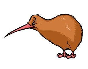 Orange Kiwi Bird Logo - kiwi Bird