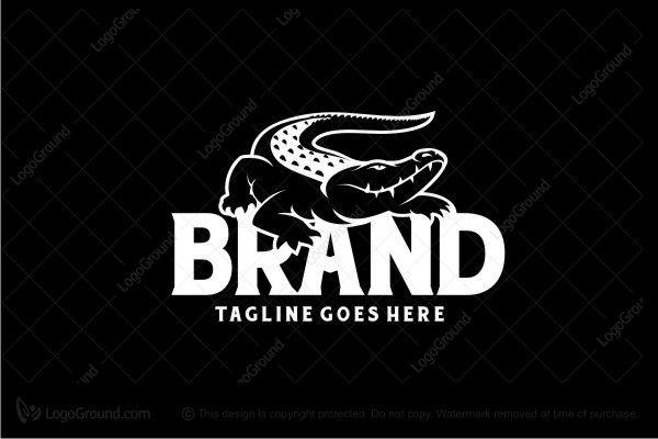 Why is the Lacoste logo a crocodile? - Mainline Menswear Blog