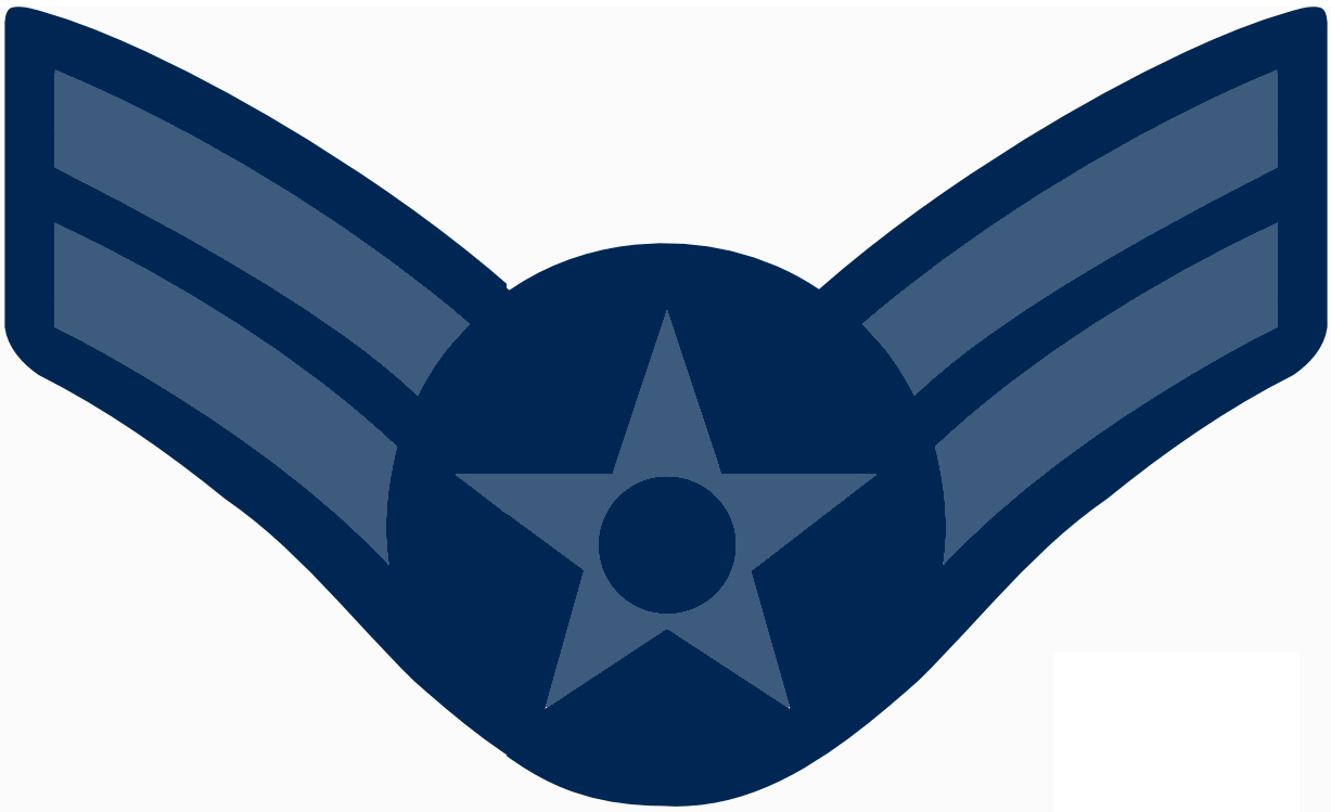 Air Force Old Logo - Usa Airforce Sleeve Old 22.gif