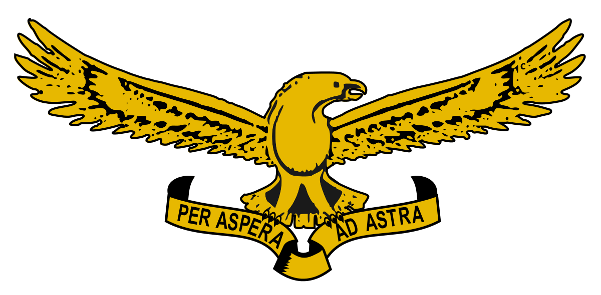 Silver Air Force Logo - South African Air Force