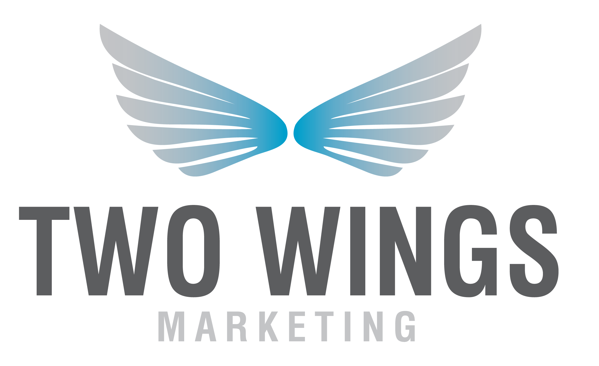 Two Wings Logo - Two Wings Marketing