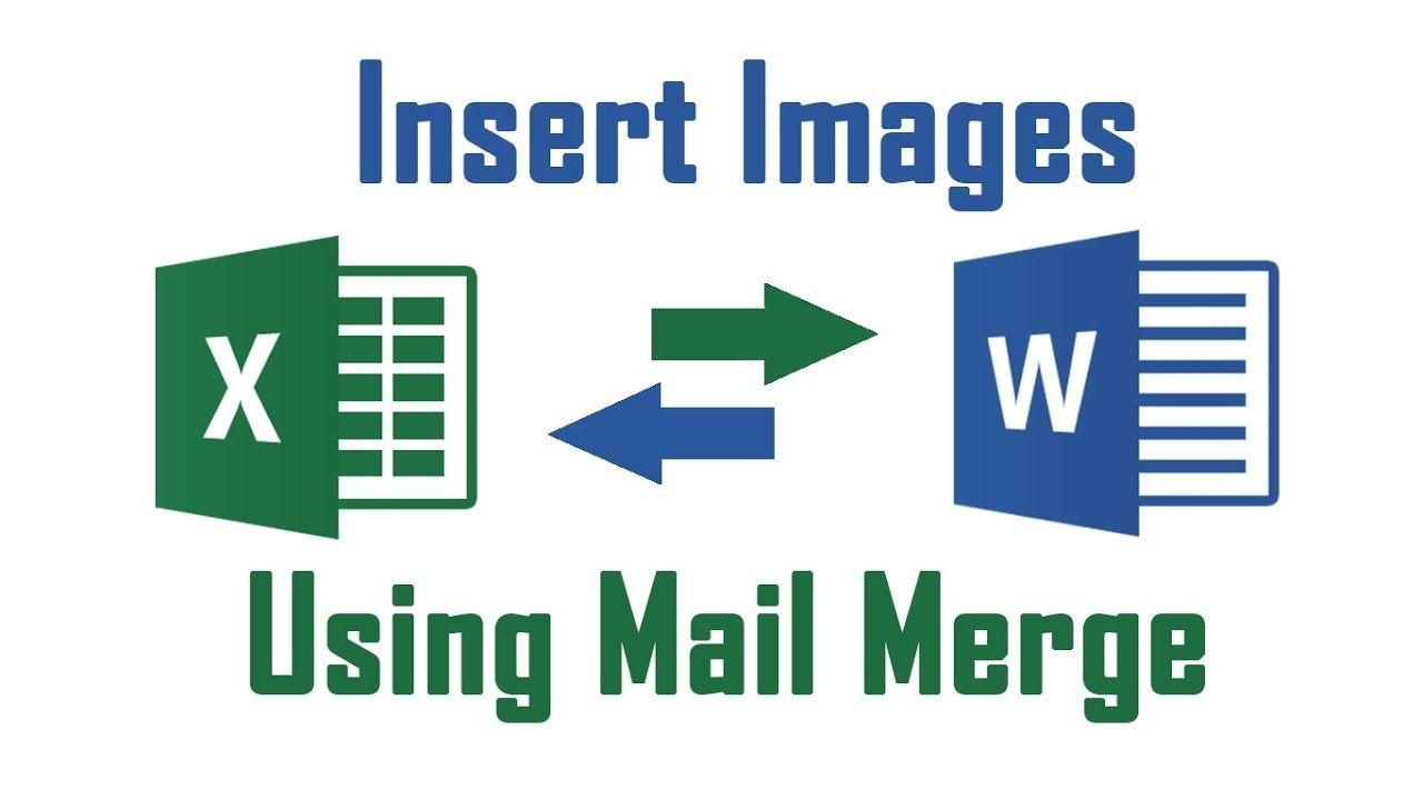 Insert Logo - Insert Image Using Mail Merge From Excel to Word Document - YouTube