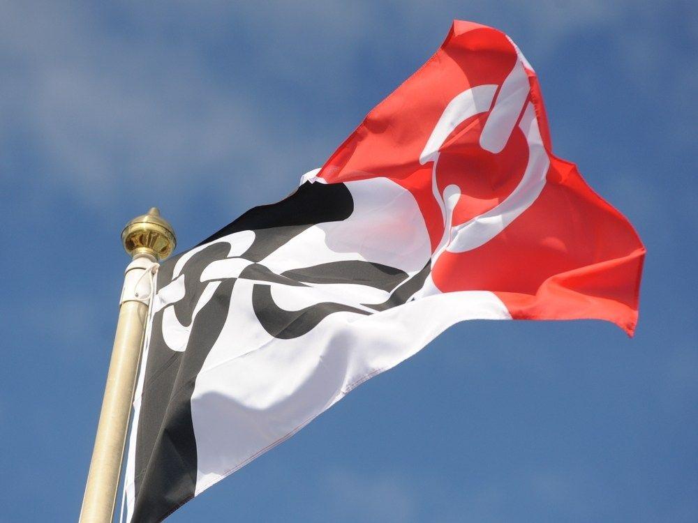 Row Red Star Logo - Black Country flag 'racism' row: What is the flag and what does it