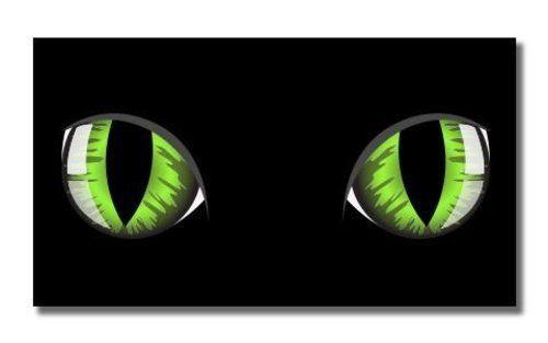 Green Eye Tech Logo - Green Eyes on Black Vinyl Sticker