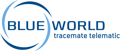 Blue World Logo - blueworld GmbH