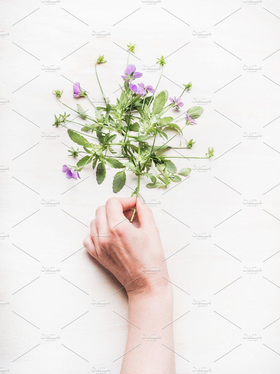 Hand Holding Flower Logo - Female hand holding flowers ~ Arts & Entertainment Photos ~ Creative ...