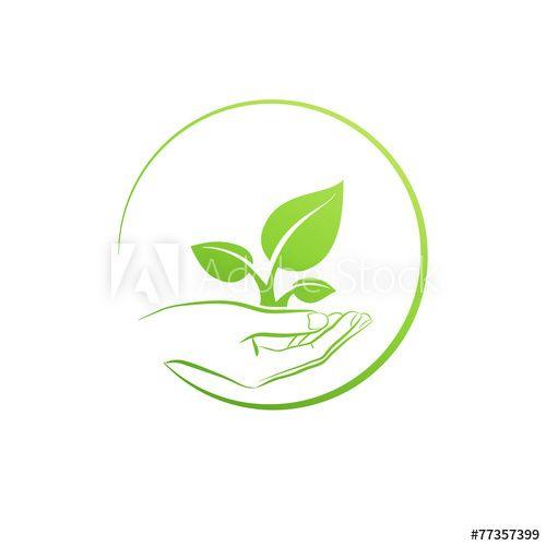 Hand Holding Flower Logo - Hand holding plant, logo growth concept vector - Buy this stock ...