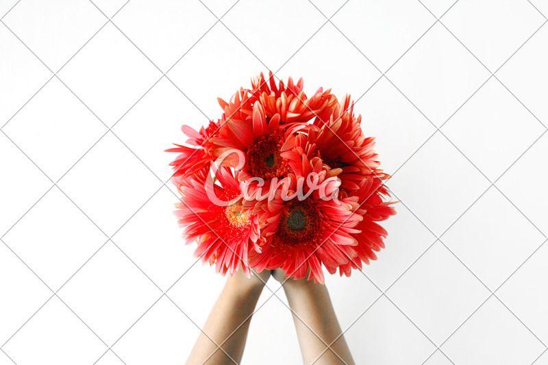 Hand Holding Flower Logo - Hand Holding Flowers - Photos by Canva