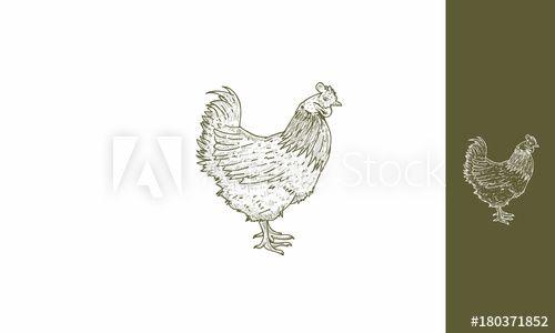 Rustic Chicken Logo - roosters, chicken, farm, fried, meat, cattle, rustic, vintage ...