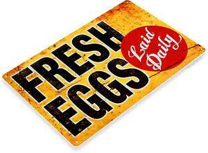 Rustic Chicken Logo - TIN SIGN A127 Fresh Eggs Ld Rustic Chicken Coop Sign Kitchen Cottage ...