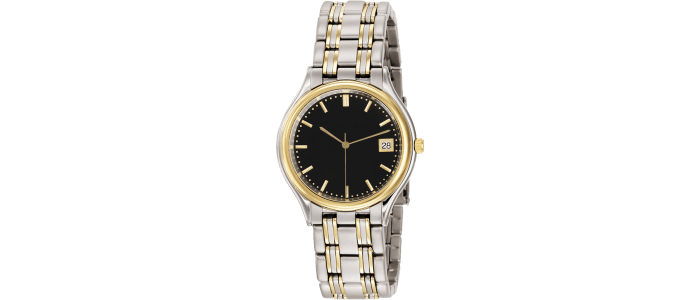 Century Watch Logo - Century Wristwatch