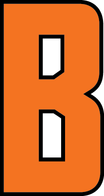 What Has a Orange B Logo - BHS Logos