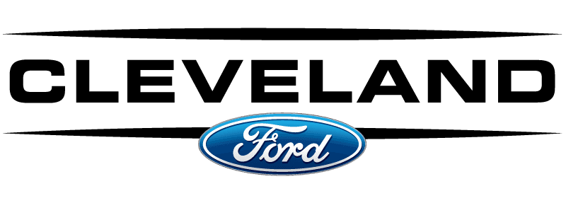 Ford EcoSport Logo - 2018 Ford EcoSport Sale