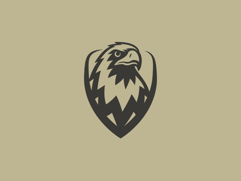 Military Eagle Logo - Eagle Shield Logo by Mersad Comaga | Dribbble | Dribbble