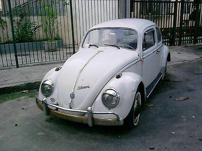 Vintage VW Bug Logo - VW BUG VINTAGE EMBLEM REAR HOOD Nameplate BEETLE TYPE1 Script