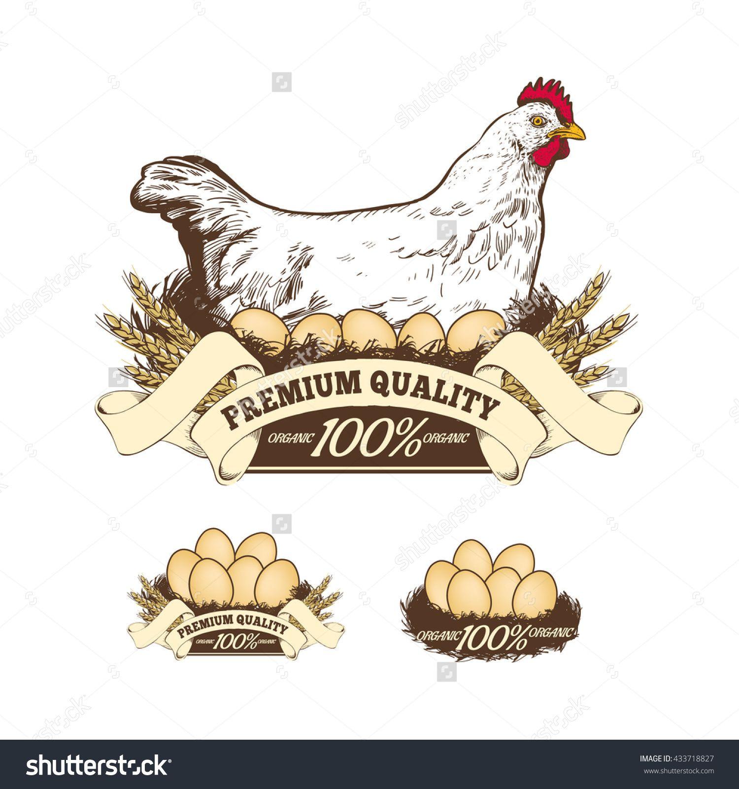 Eggs Farm Logo - Chicken Farm Premium Quality Fresh Eggs Stock Vector 433718827 ...