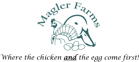 Eggs Farm Logo - Healthy, Natural, Farm Fresh Poultry And Eggs - Magler Farms