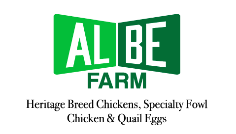 Eggs Farm Logo - Eggs