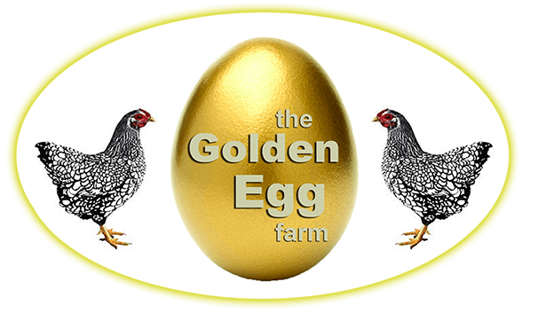 Eggs Farm Logo - The Golden Egg Farm. Pasture Grazed & Free Ranged