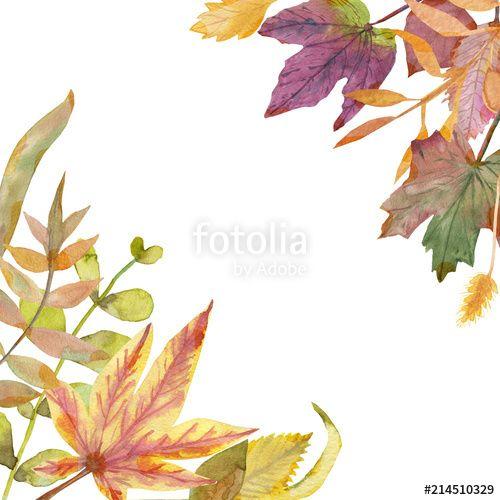 Green Colored Leaves Logo - watercolor pattern autumn set of bright leaves, green, red, yellow ...