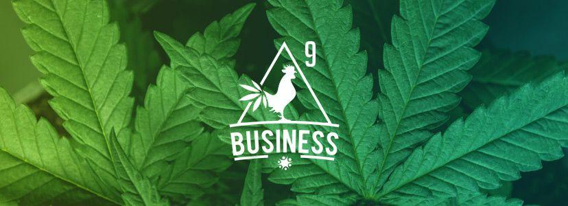 Leaf Business Logo - 45 Marijuana and Weed Logo Designs for Branding Your Cannabis Business