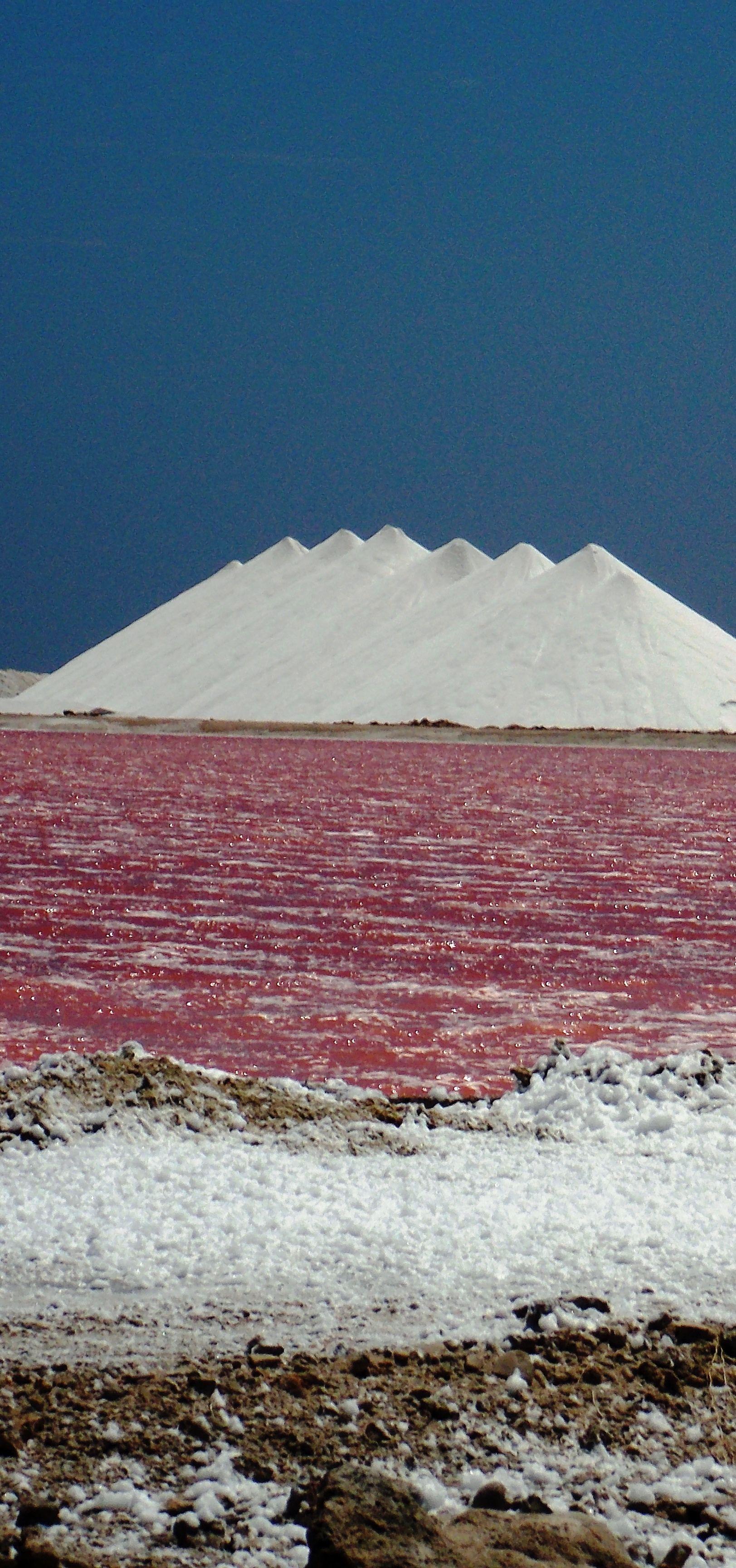 Pink Water with Mountains Logo - Pink water of the Bonaire salt pans and mountains of salt in