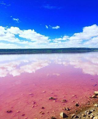 Pink Water with Mountains Logo - Guide to Australia's pink lakes - Tourism Australia