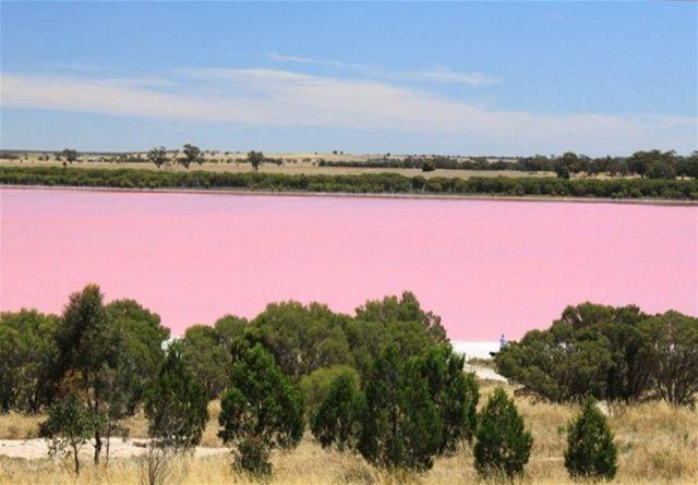 Pink Water with Mountains Logo - Lake Retba (Lac Rose) Pink Lake of Senegal