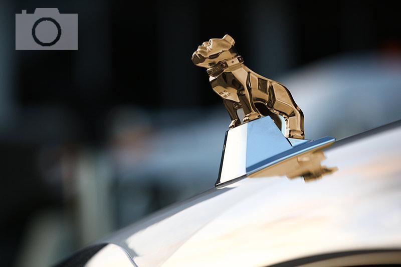 Mack Dog Logo - The Story Behind Mack Trucks' Trademark Bulldog Hood Ornament ...