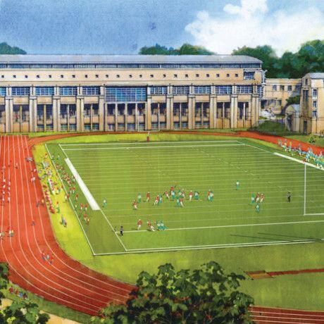 Carnegie Mellon Athletics Logo - Athletic Facilities Master Plan - Hastings+Chivetta