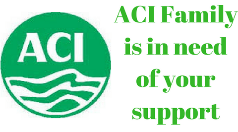 ACI Logo - Aci logo png 5 » PNG Image