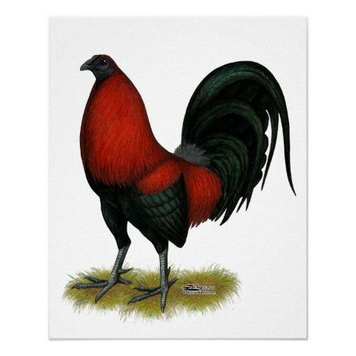 Black and Red Rooster Logo - American Game BB Black Red Rooster Poster | Chickens | Pinterest ...