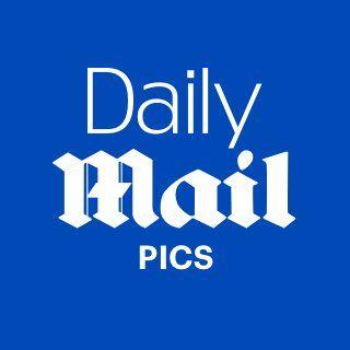 Daily Mail Logo - Daily Mail Pics (@DailyMailPics) | Twitter