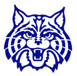 U of Arizona Logo - Transition Program