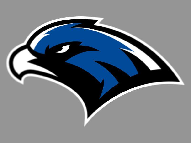 Blue Hawk Logo - Hawk logo WIP by Dan Blessing | Dribbble | Dribbble