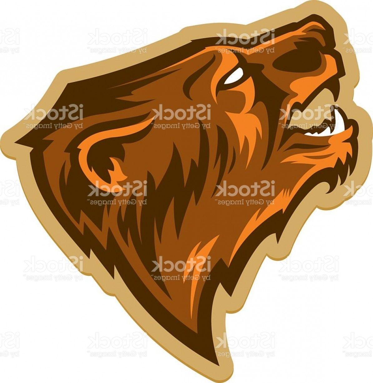 Grizzly Bear Sports Logo - Grizzly Bear Head Logo Talisman College Sports Teams Gm