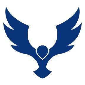Blue Hawk Logo - Blue Hawk Apparel