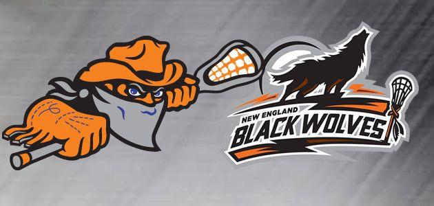 Orange and Black Wolves Logo - Game Preview