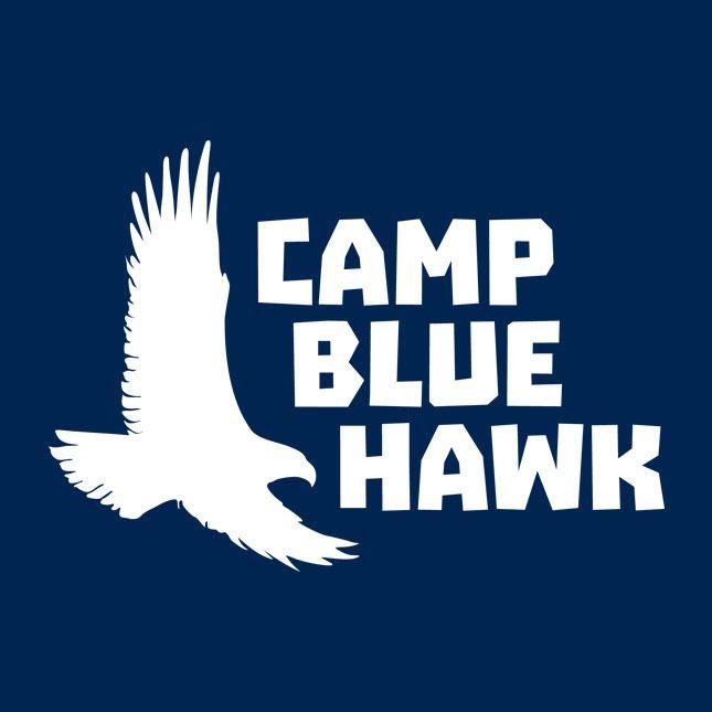 Blue Hawk Logo - Camp Blue Hawk > Home
