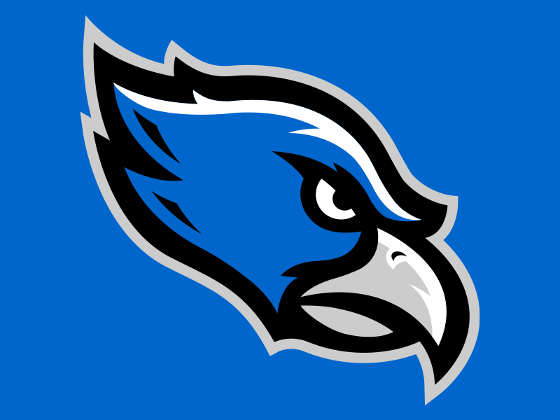 Blue Hawk Logo - Farmington Valley Hawks Mascot logo by Matt Walker | Dribbble | Dribbble
