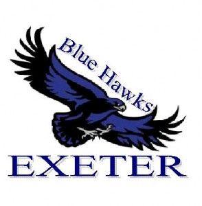Blue Hawk Logo - New Blue Hawk Site – Blue Hawk Volleyball