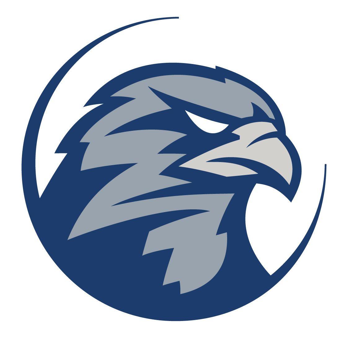 Blue Hawk Logo - Logos. Logo design, Logos, Sports logo