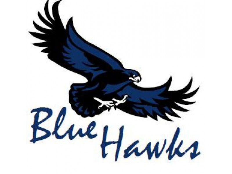 Blue Hawk Logo - Blue Hawk Football Boosters Holding Fundraiser. Exeter, NH Patch