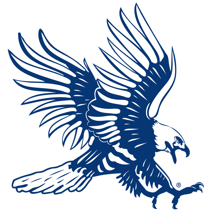 Blue Hawk Logo - Logos. Dickinson State University