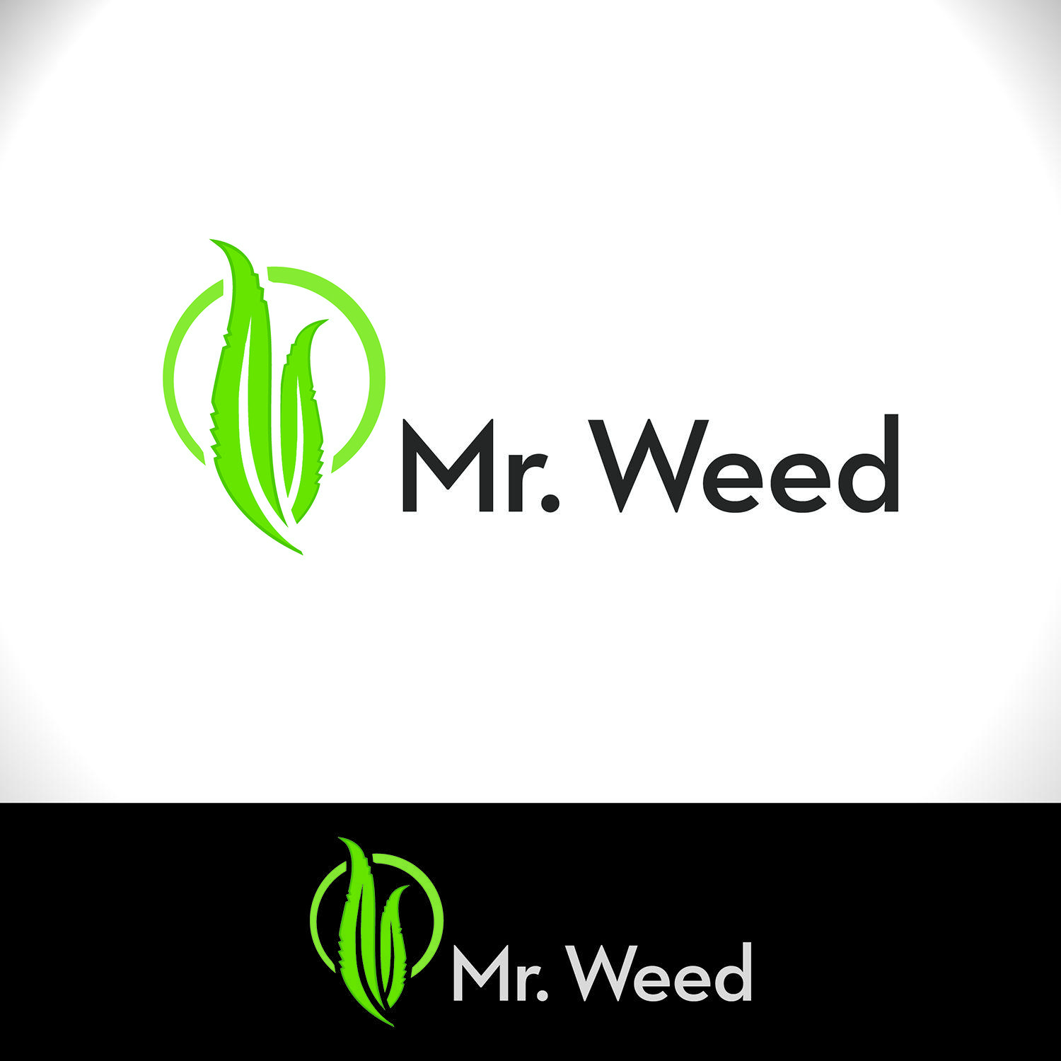 SAS Company Logo - Masculine, Upmarket, It Company Logo Design for MR. WEED