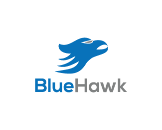 Blue Hawk Logo - Blue Hawk Designed