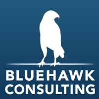 Blue Hawk Logo - Working at Bluehawk Consulting