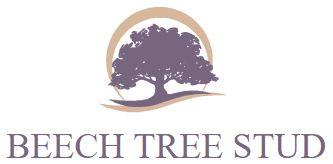 Home Tree Logo - News - Page 2 of 3 - Beech Tree Stud